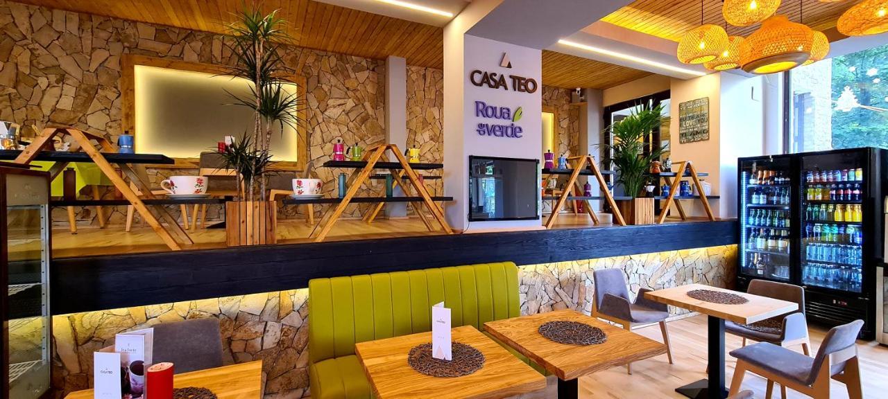 Casa Teo Guest house Sinaia