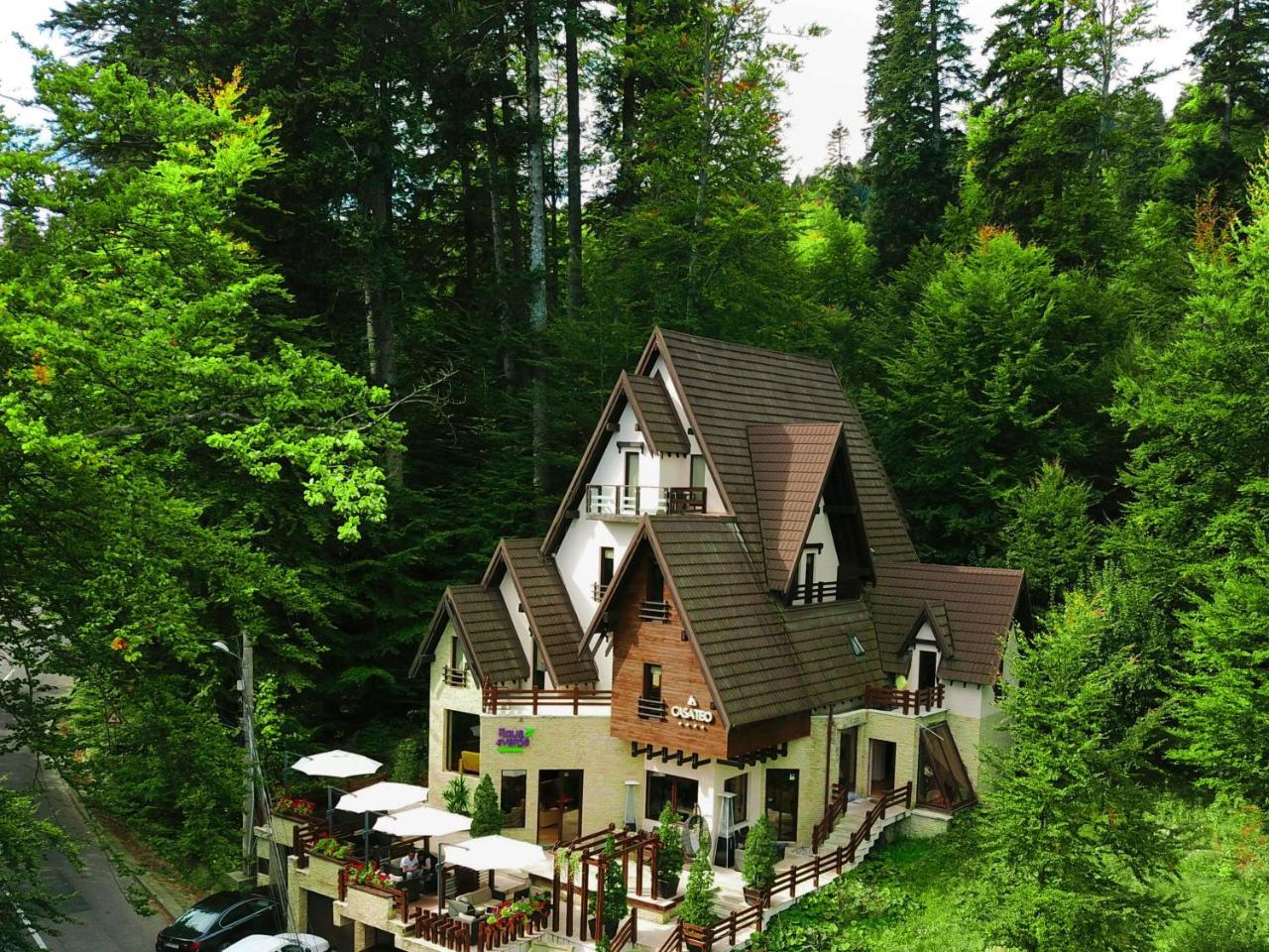 Guest house Casa Teo Sinaia